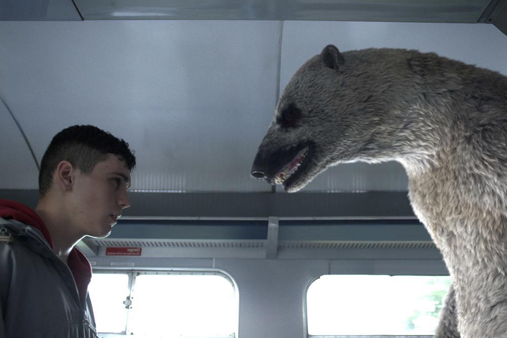 Shaheen baig casting polar bear